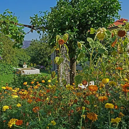 乡村民宿 Casa Do Vale 法菲