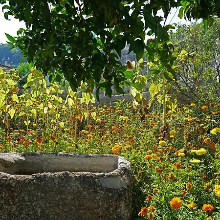 Casa Do Vale Landsted
