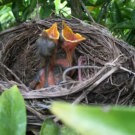 Casa Do Vale Casa rural *