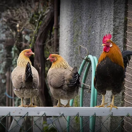 Casa rural Casa Do Vale