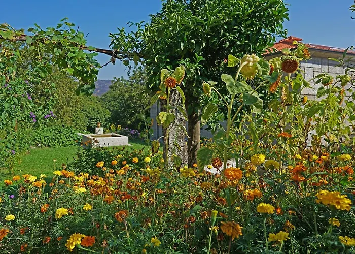 乡村民宿 Casa Do Vale 法菲