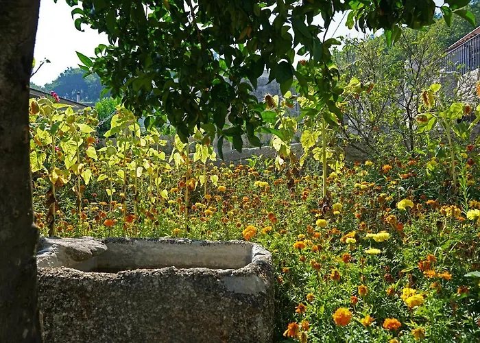 Casa Do Vale 乡村民宿