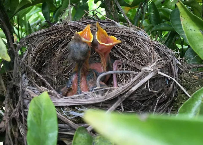 Casa Do Vale 乡村民宿 *