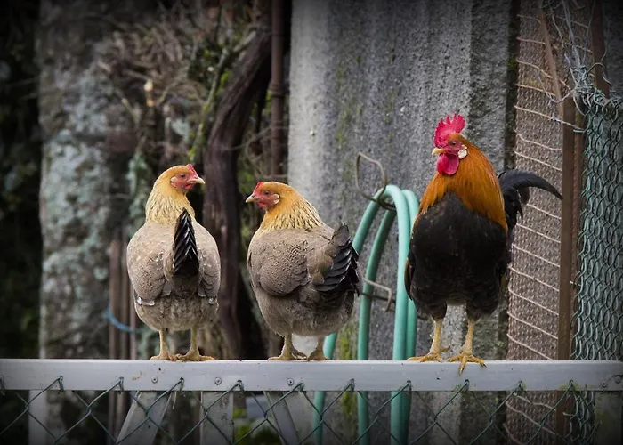 Casa rural Casa Do Vale