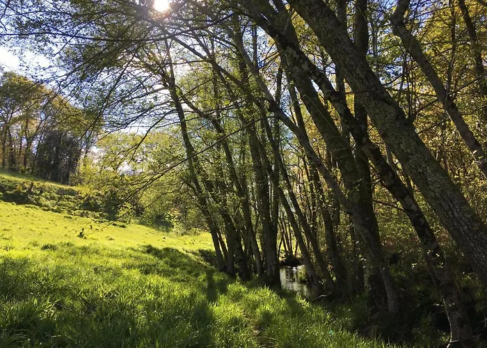 乡村民宿 Casa Do Vale